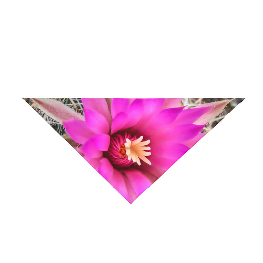 Pink Cactus Bloom Pet Bandana — Floral Dog & Cat Scarf