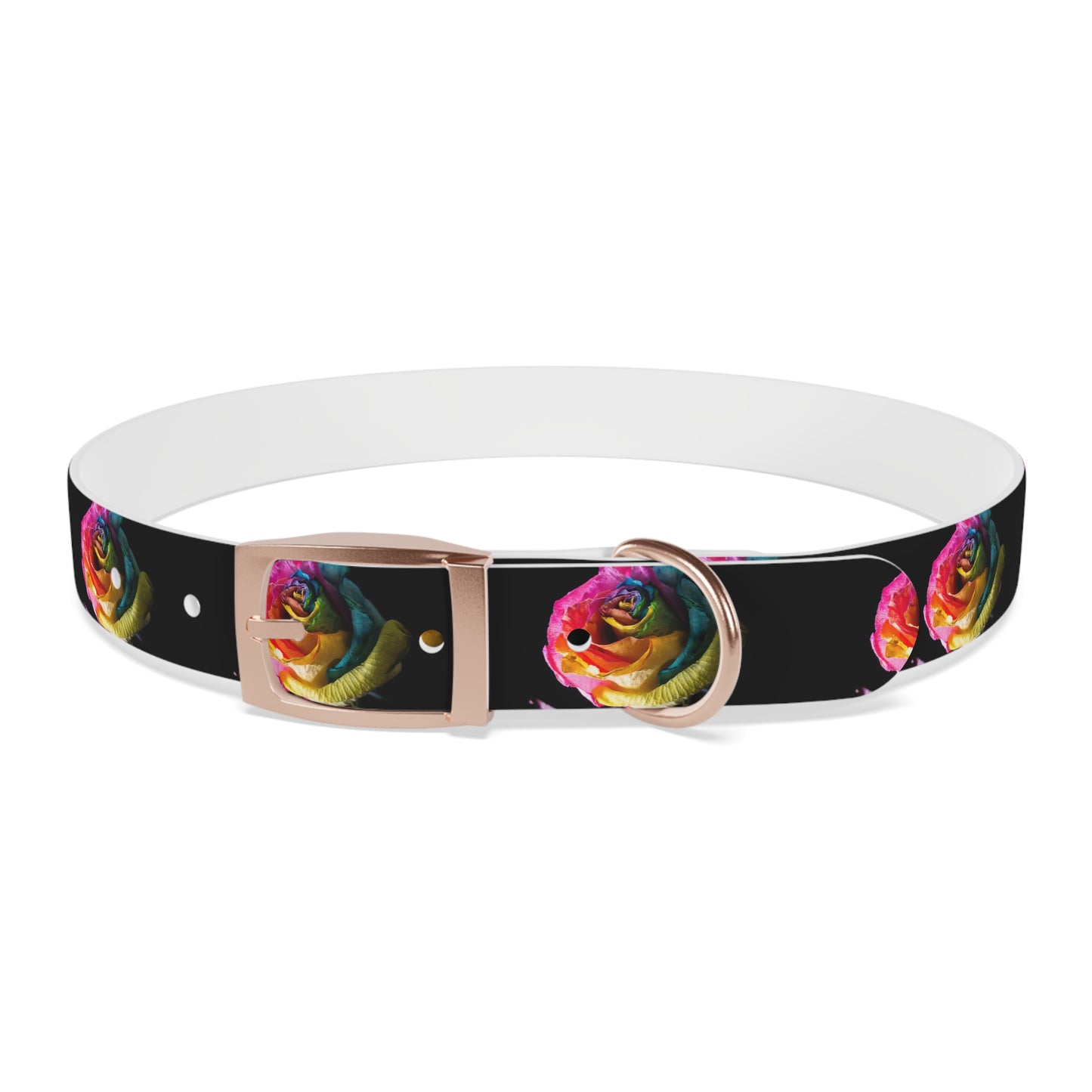 Rainbow Rose Dog Collar — Colorful Floral Pet Collar on Black