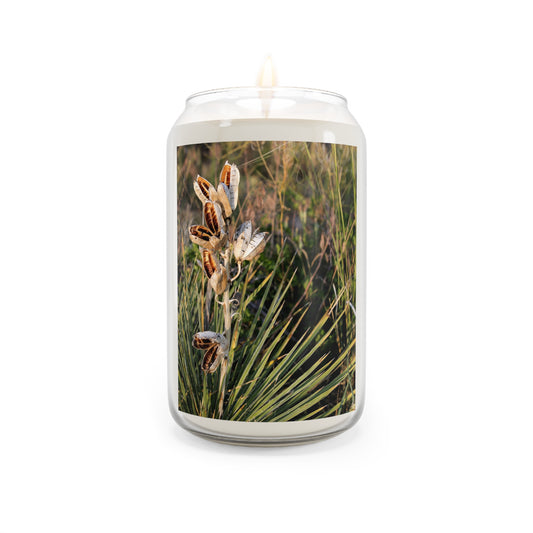 Botanical Soy Scented Candle 13.75oz