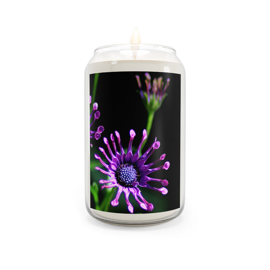 Purple Whirligig Soy Candle — 13.75 oz Scented Jar