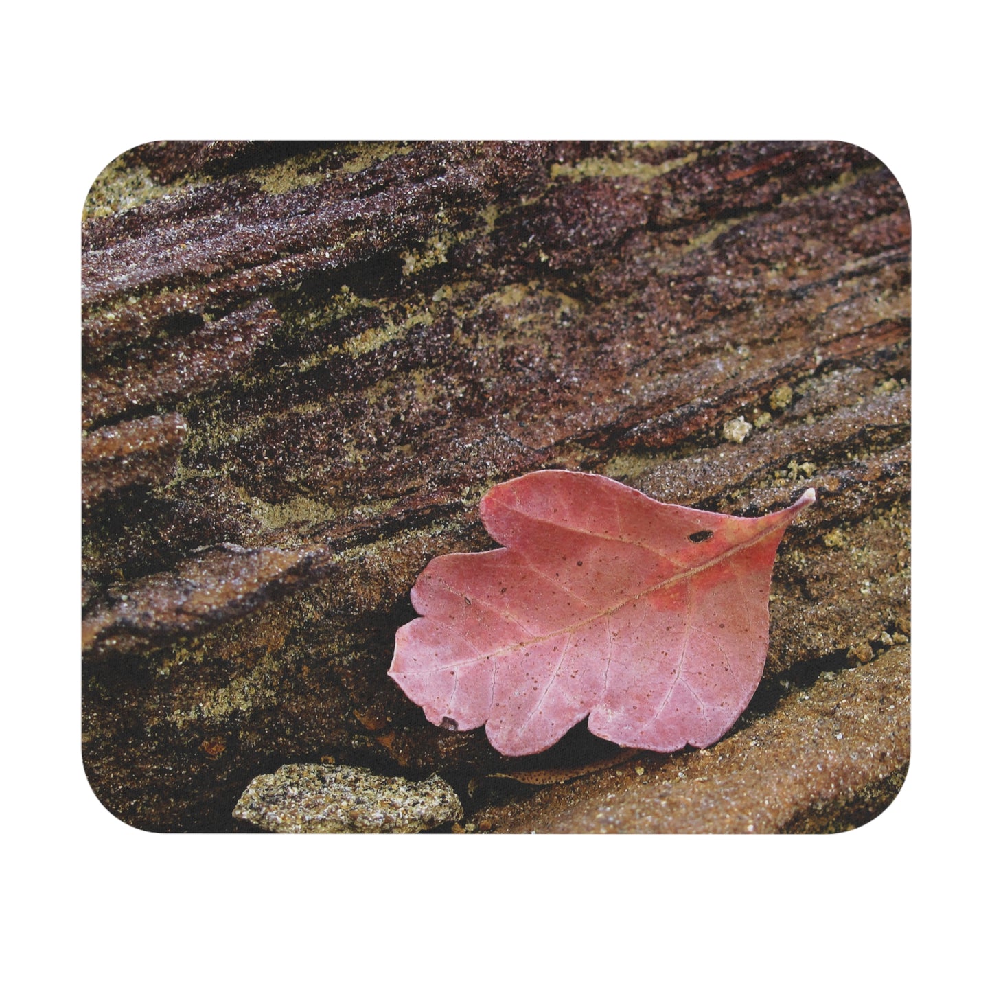 Autumn Oak Leaf Mouse Pad — Rustic Nature Desk Mat