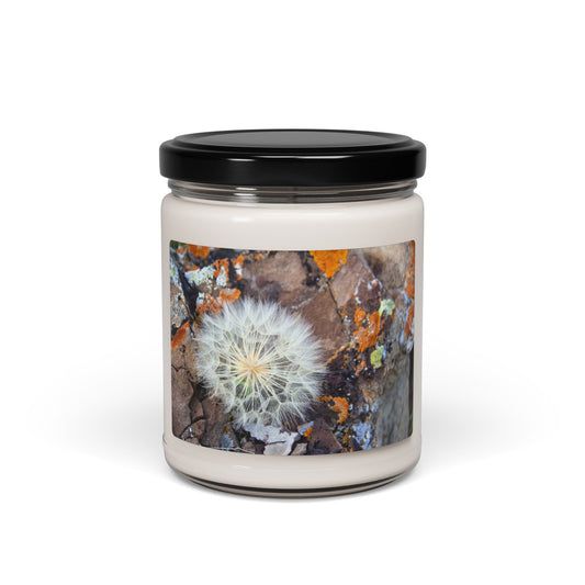 Dandelion & Earth ~ Scented Soy Candle — 9oz Jar