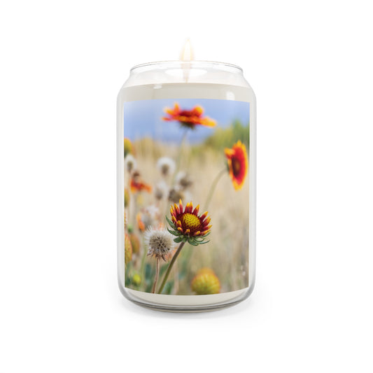 Wildflower Meadow Soy Candle – 13.75oz Scented Jar