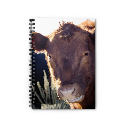 Cow Portrait Spiral Notebook — Cute Brown Cow Photo Ruled Journal