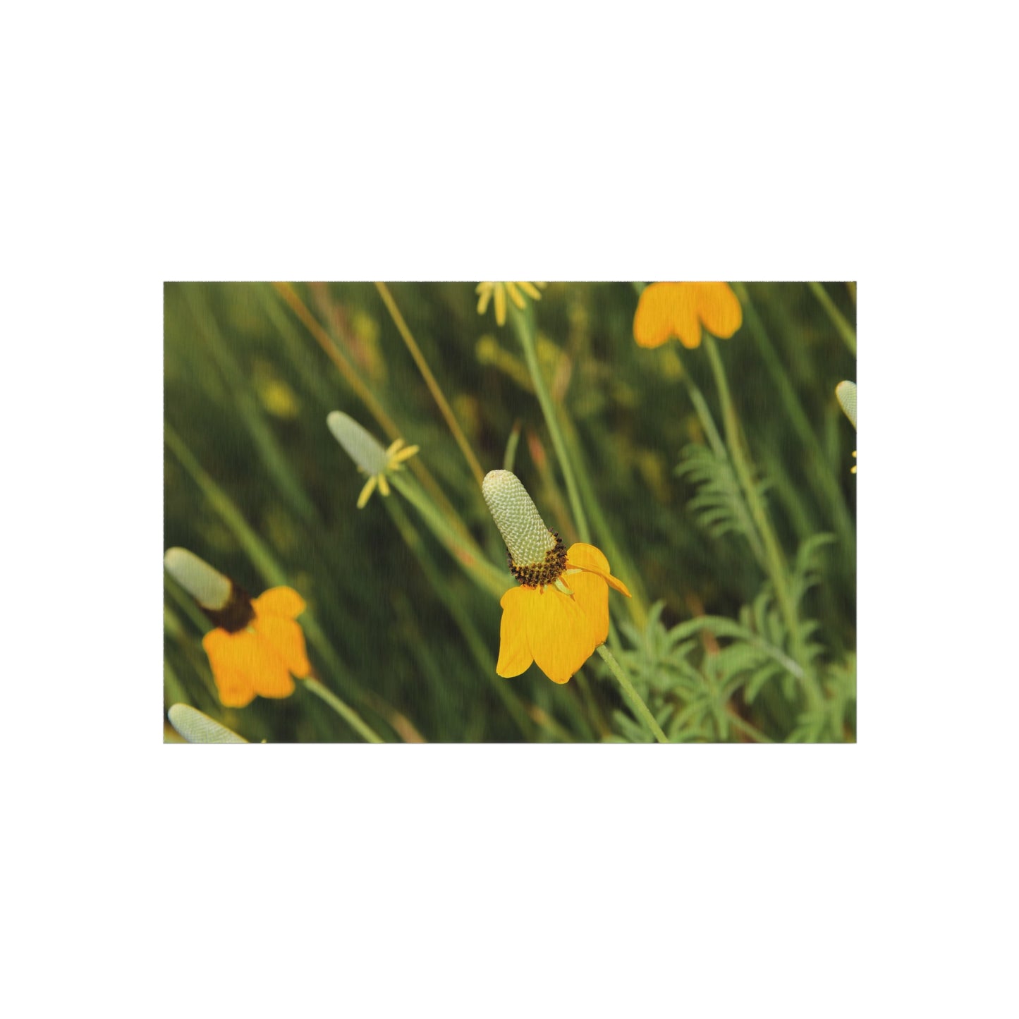 Yellow Wildflower Outdoor Rug — Floral Patio Mat for Porch & Garden